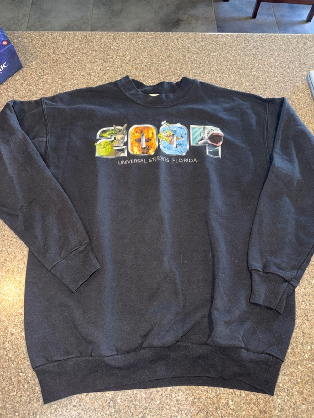 Y2k Universal Studios Black Crewneck Sweatshirt